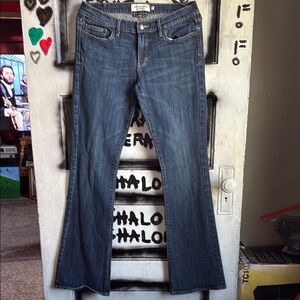 Abercrombie & Fitch Blue Flare Wide Leg Jeans